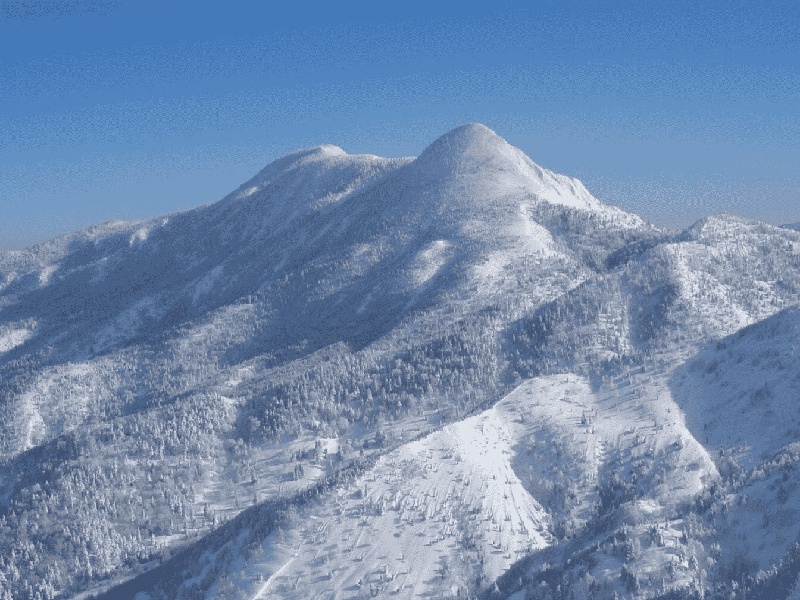 泰德国际试管精子常规检查费用多少试管常用用途