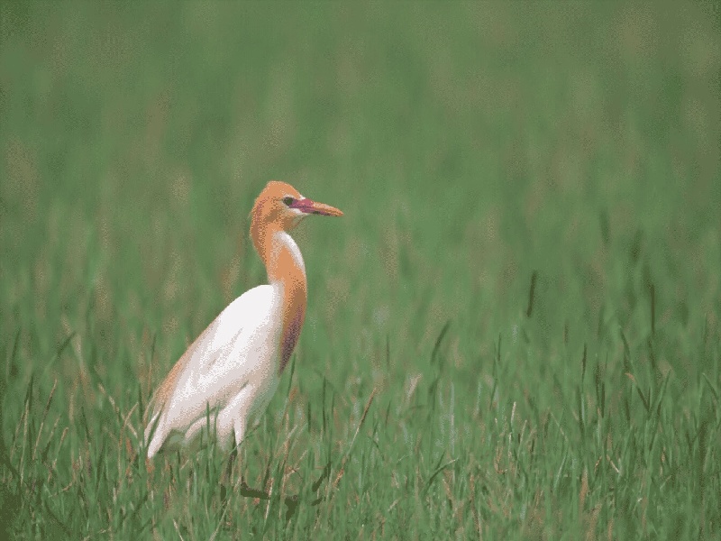 不孕不育检查项目费用5ml试管尺寸红头试管取血
